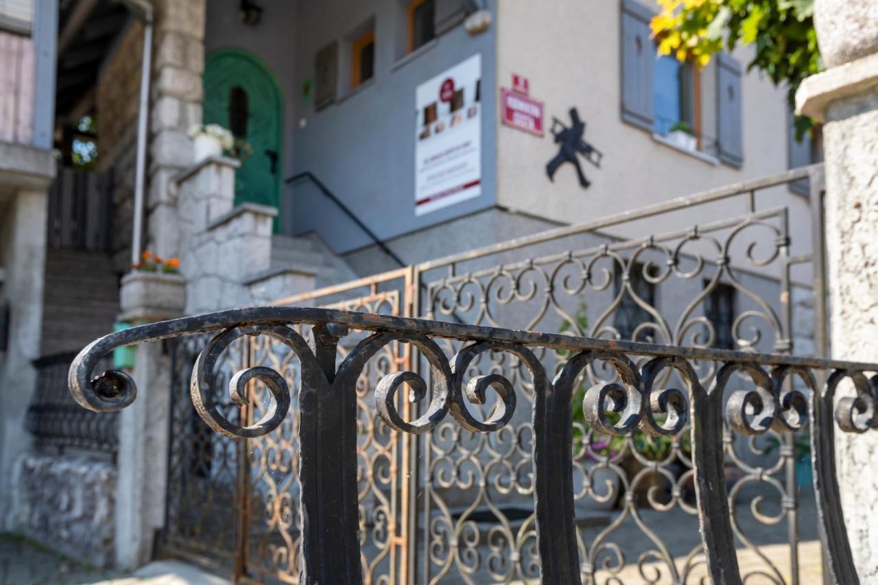 Apartmaji Rauter 博希尼 外观 照片