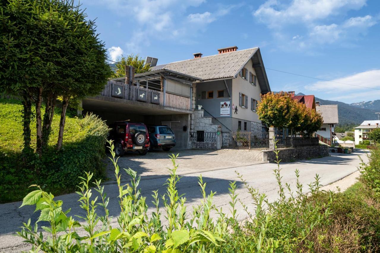 Apartmaji Rauter 博希尼 外观 照片
